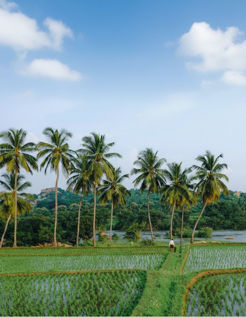 What is Ayurveda?