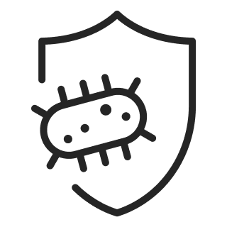 Icon 1