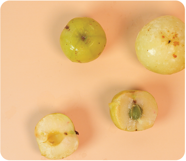 Amla