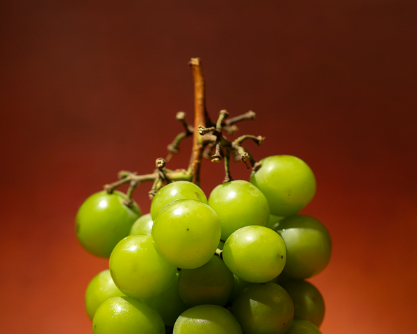 White Grape